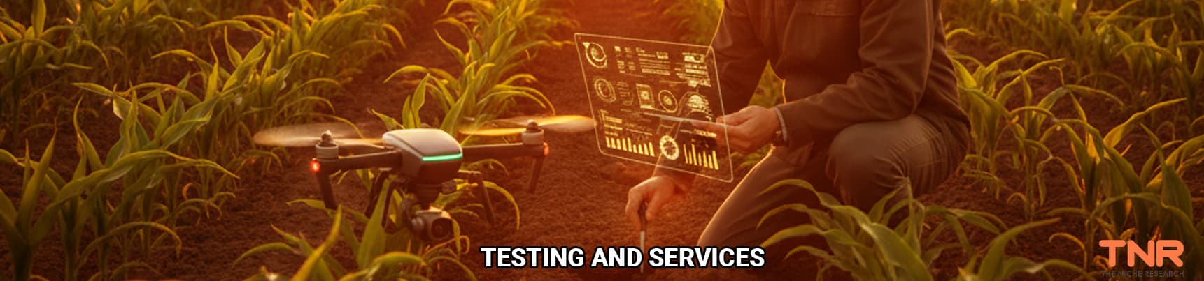 Testing & Services